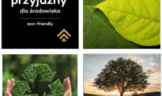 Jak dbac o panele winylowe by sluzyly przez lata 4