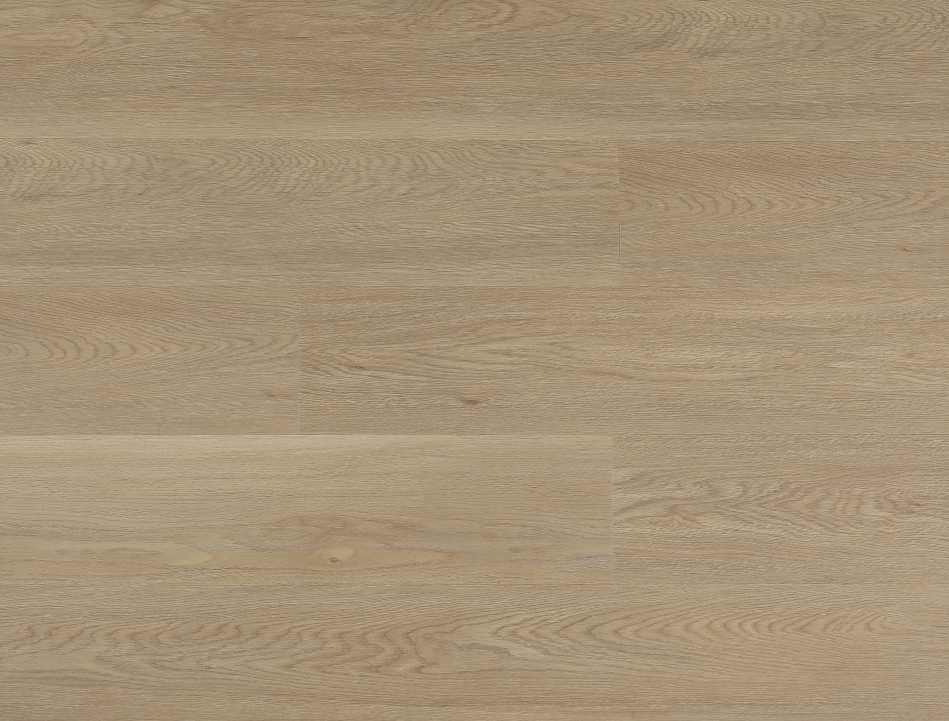 Almond Oak