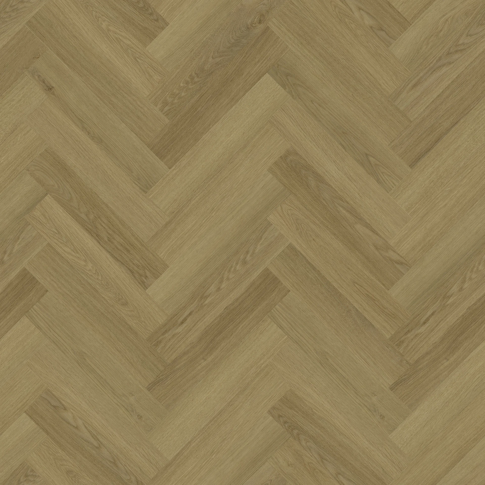 Avignon Oak