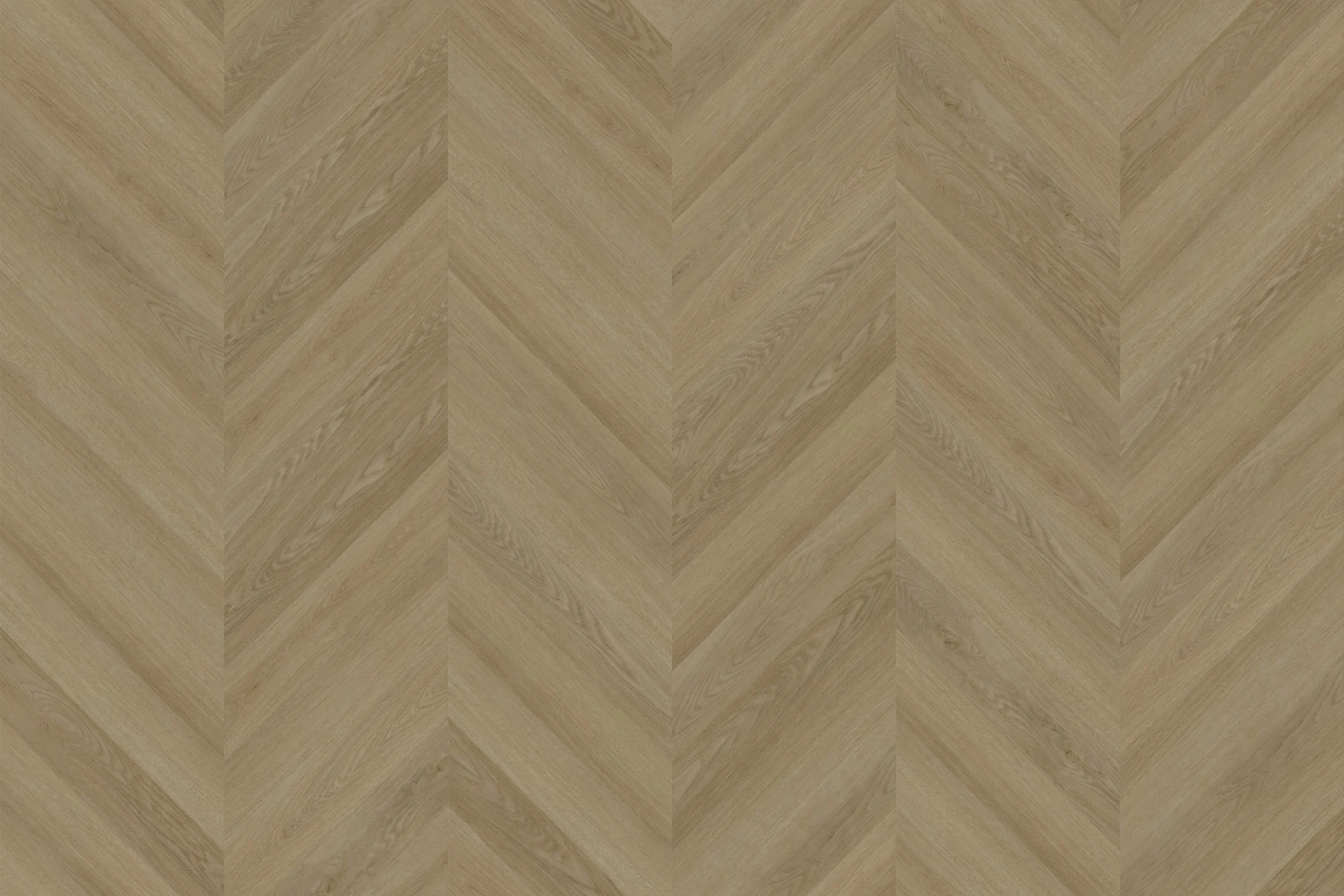 Louvre Oak