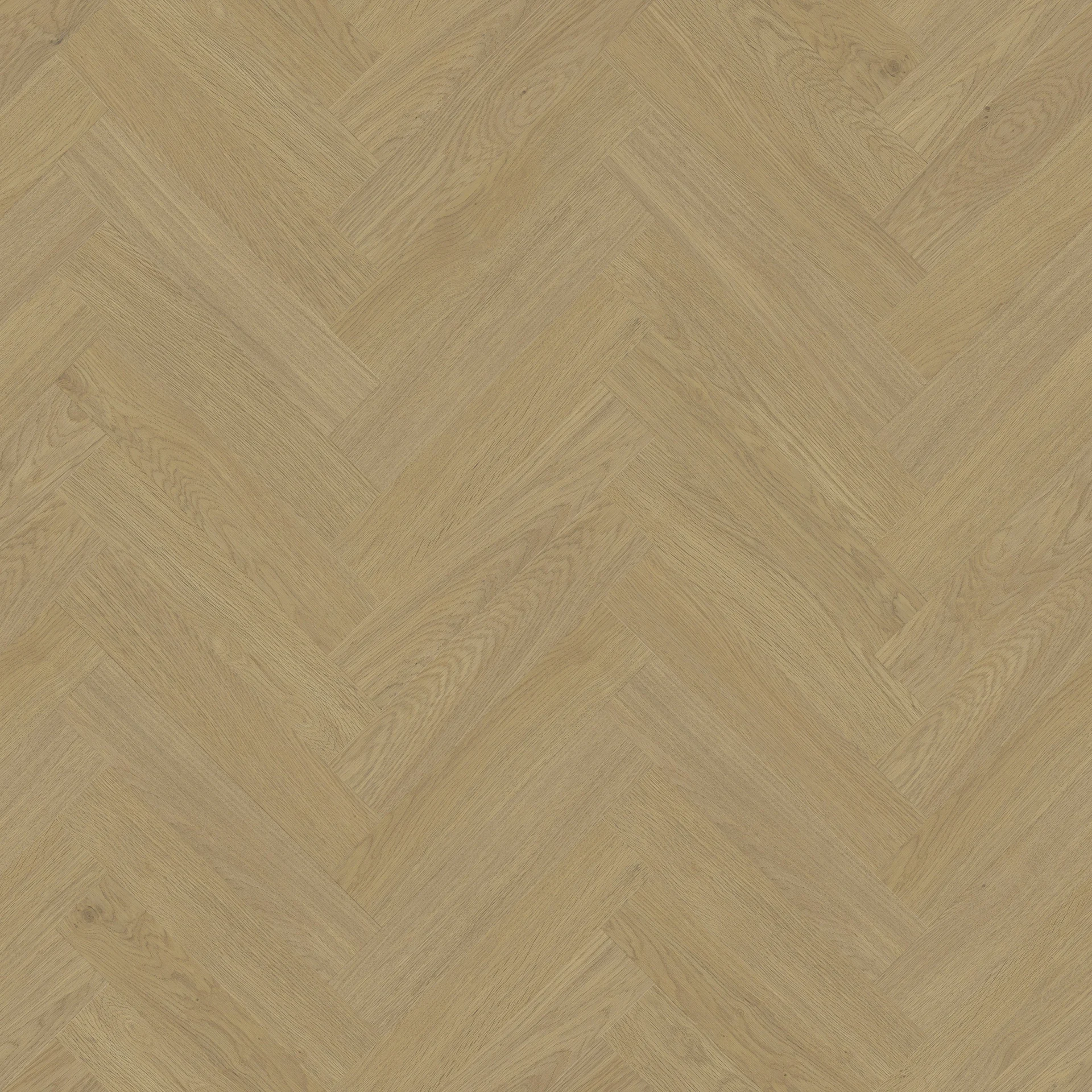 Versailles Oak
