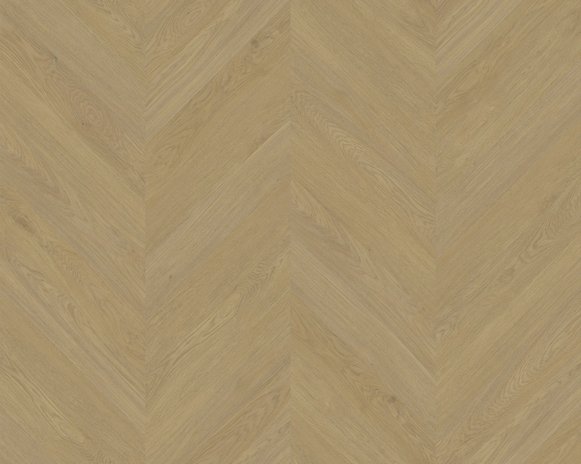 Versailles Oak